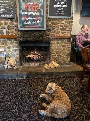 Grasshopper On The Green