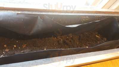 Beirut Street Kitchen