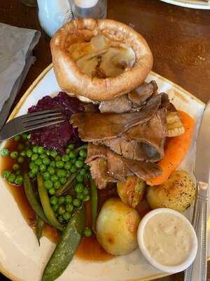 Grazing Cow At Lawley