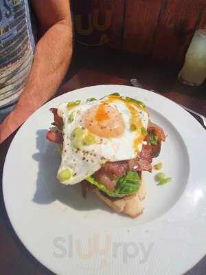 Primrose On The Quay