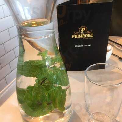 Primrose On The Quay