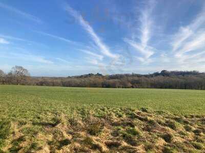 The Wheatsheaf At Bough Beech