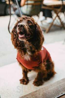 Villiers Coffee House