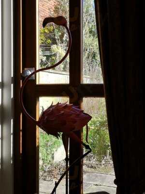 Salisbury Museum Cafe