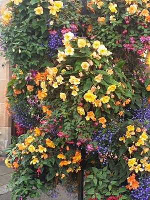 Capercaille Restuarant