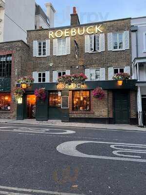 Roebuck