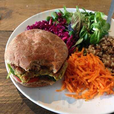 The Planet Plant Shop