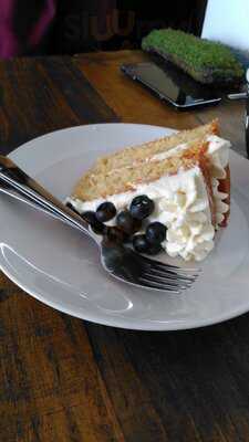 The Planet Plant Shop