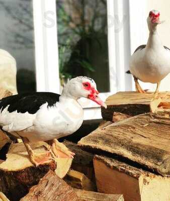 Farthings Hotel And Restaurant