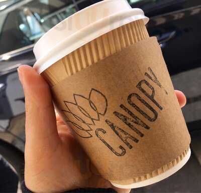 Canopy Coffee