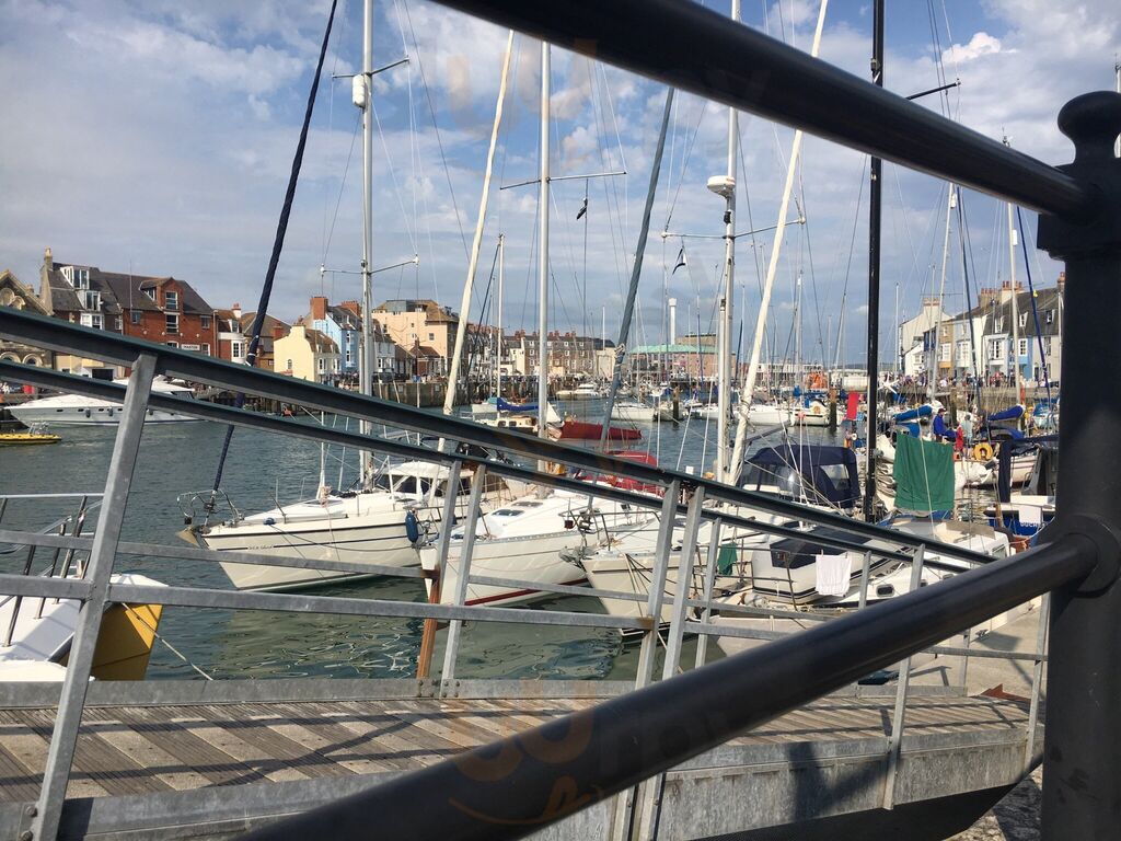 The Ivy Coffee House