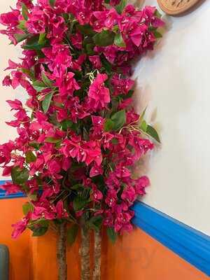 Santorini Chichester