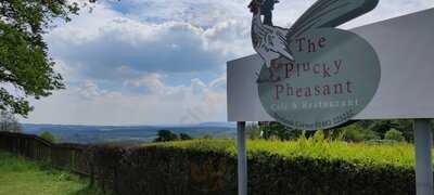 The Plucky Pheasant