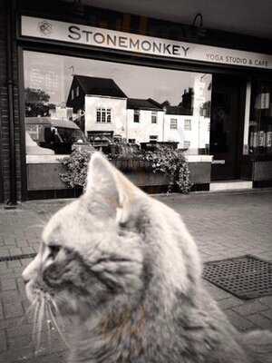 Stonemonkey-yoga Studio & Cafe