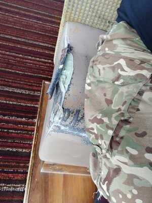 The Angel - Hungry Horse