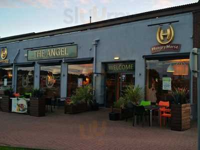 The Angel - Hungry Horse