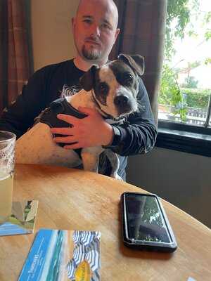 The Half Moon Inn @ Stoke St Mary