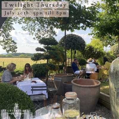 Architectural Plants Cafe