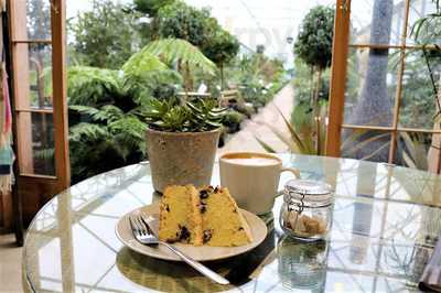 Architectural Plants Cafe