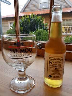 Architectural Plants Cafe