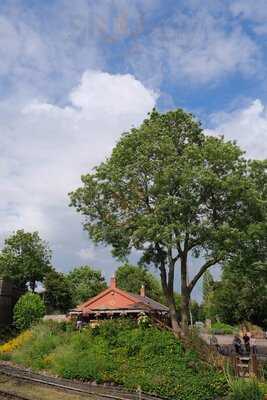 Butler Henderson Cafe