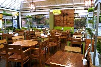 Squire's Garden Centre