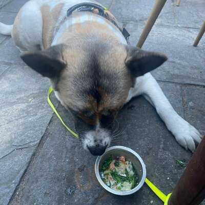 Lass O'richmond Hill