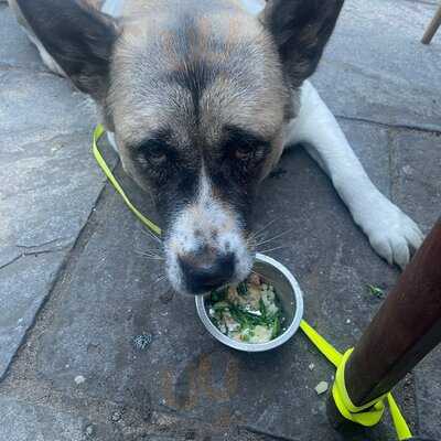 Lass O'richmond Hill