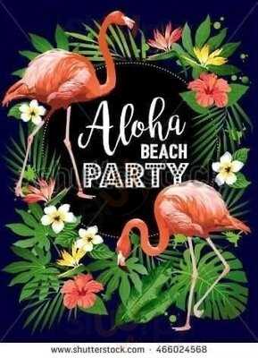 The Champion Shell Inn