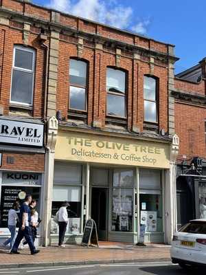 The Olive Tree