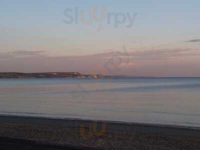 Jurassic Rock's Cafe