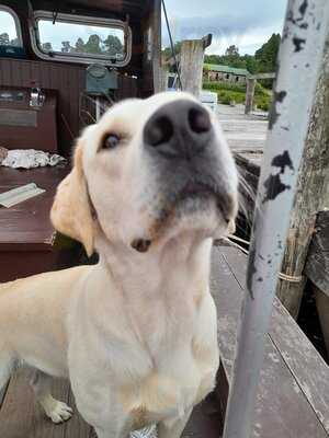 Inchmurrin Island Restaurant