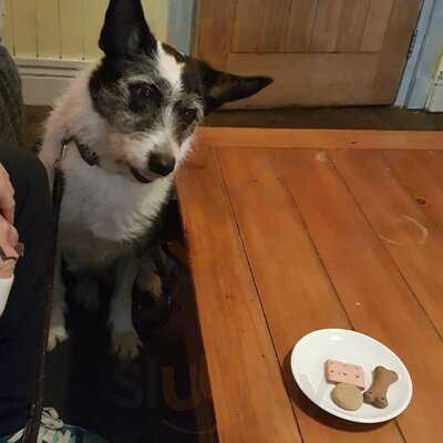 The Ugly Mug Stirling