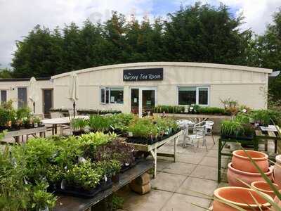 Pearson's Nursery And Tea Room