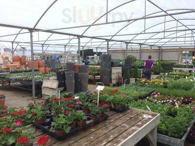 Pearson's Nursery And Tea Room