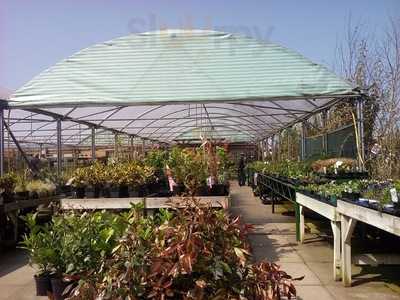 Pearson's Nursery And Tea Room