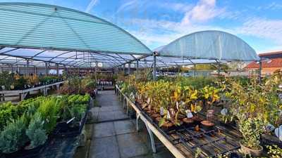 Pearson's Nursery And Tea Room