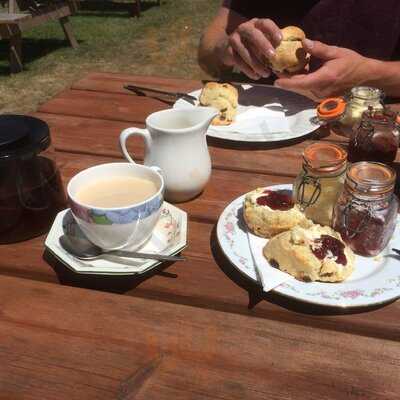 The Garden Cafe Newquay