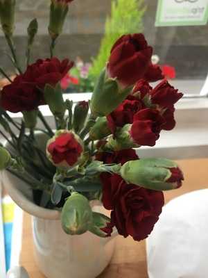 The Serious Sandwich