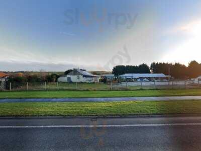 Knoxs Of Campsie Garden Centre & The Lazy Gardener Cafe