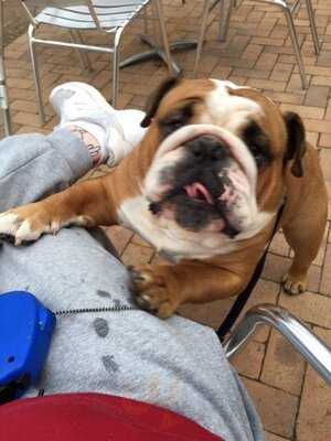 Gardener's Cottage Cafe