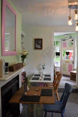 Ed Dibbles At The Park