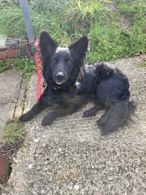 The John Gregory Weymouth