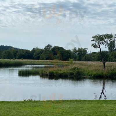 Mohr Bread And Tearoom
