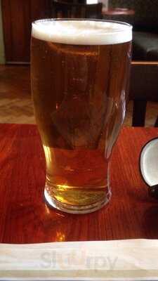 The Swan In The Rushes