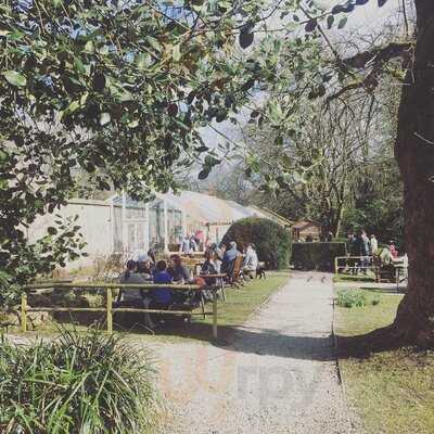 The Apple Store Cafe