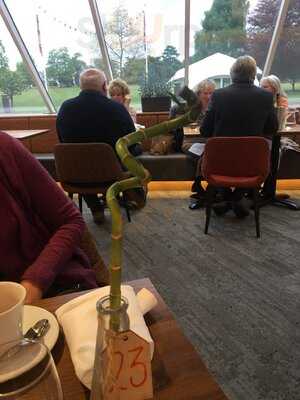 The Minerva Bar & Grill