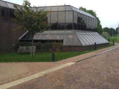 The Minerva Bar & Grill