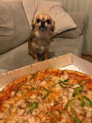 110 Pizza And Coffee Bar