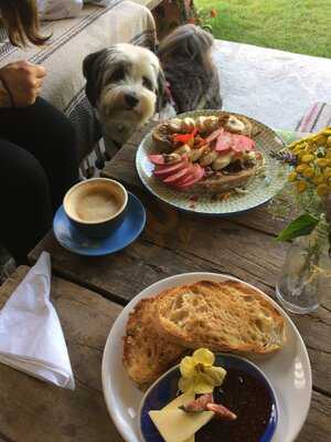 Spring Gardens Nursery